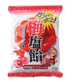ガツンと！梅塩飴 1袋