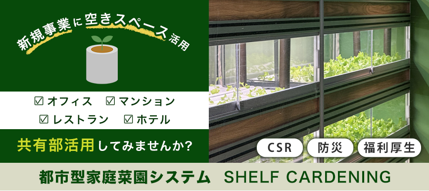 家庭菜園キット
