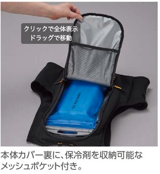 ICWベストプロXセット BIGサイズ